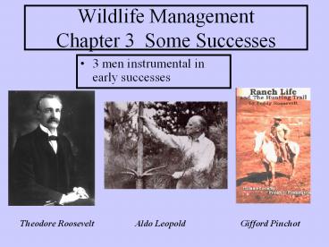 Wildlife Management Chapter 3 Some Successes