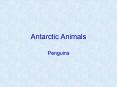 Antarctic Animals PowerPoint PPT Presentation