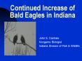 Continued Increase of Bald Eagles in Indiana PowerPoint PPT Presentation