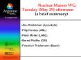 Nuclear Masses WG, Tuesday May 29 afternoon a brief summary PowerPoint PPT Presentation