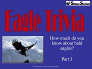 How much do you know about bald eagles?