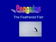 The Feathered Fish PowerPoint PPT Presentation