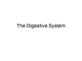 The Digestive System PowerPoint PPT Presentation