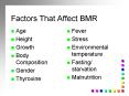 Factors That Affect BMR PowerPoint PPT Presentation