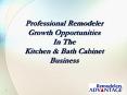 Professional Remodeler PowerPoint PPT Presentation