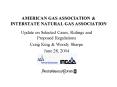 AMERICAN GAS ASSOCIATION
