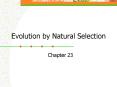Evolution by Natural Selection PowerPoint PPT Presentation