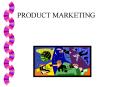 PRODUCT MARKETING PowerPoint PPT Presentation