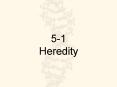 51 Heredity PowerPoint PPT Presentation