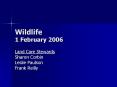 Wildlife 1 February 2006 PowerPoint PPT Presentation