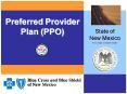 Preferred Provider Plan PPO