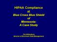 HIPAA Compliance at Blue Cross Blue Shield of Minnesota: A Case Study Tim Wittenburg Director of Ele PowerPoint PPT Presentation