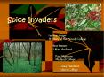 Spice Invaders PowerPoint PPT Presentation