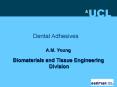 Dental Adhesives PowerPoint PPT Presentation