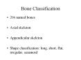 Bone Classification PowerPoint PPT Presentation