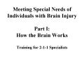 Meeting Special Needs of Individuals with Brain Injury Part I: How the Brain Works Training for 211 PowerPoint PPT Presentation