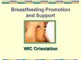 Breastfeeding Promotion and Support PowerPoint PPT Presentation