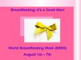 Breastfeeding: Its a Good Start PowerPoint PPT Presentation