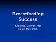 Breastfeeding Success PowerPoint PPT Presentation