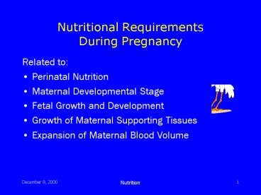 Nutritional Requirements During Pregnancy