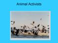 Animal Activists PowerPoint PPT Presentation