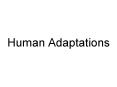 Human Adaptations PowerPoint PPT Presentation