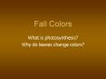 Fall Colors PowerPoint PPT Presentation