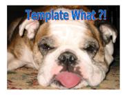 Template What!?