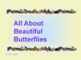 All About Beautiful Butterflies PowerPoint PPT Presentation