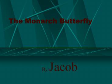 The Monarch Butterfly