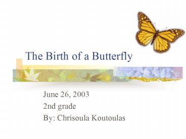 The Birth of a Butterfly