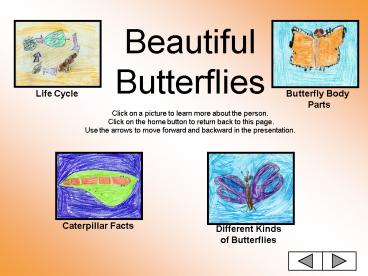 Beautiful Butterflies