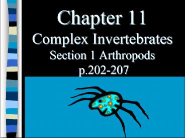 Chapter 11 Complex Invertebrates Section 1 Arthropods p.202207