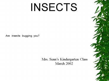 Are insects bugging you