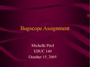Bugscope Assignment