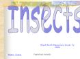 Insects PowerPoint PPT Presentation