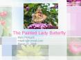 The Painted Lady Butterfly PowerPoint PPT Presentation