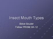 Insect Mouth Types
