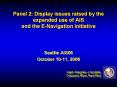 Panel 2: Display issues raised by the expanded use of AIS and the ENavigation initiative PowerPoint PPT Presentation