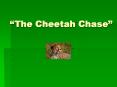 The Cheetah Chase PowerPoint PPT Presentation
