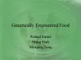 Genetically Engineered Food PowerPoint PPT Presentation