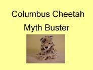 Columbus Cheetah