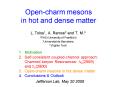 Opencharm mesons in hot and dense matter PowerPoint PPT Presentation