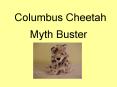 Columbus Cheetah PowerPoint PPT Presentation