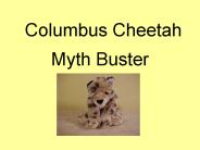 Columbus Cheetah