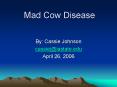Mad Cow Disease PowerPoint PPT Presentation