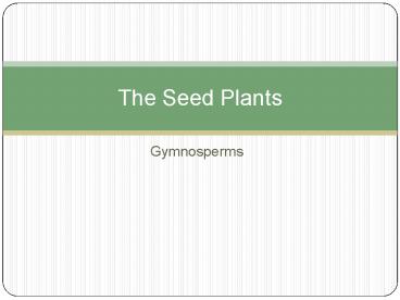 Gymnosperms
