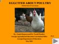 EGGCITED ABOUT POULTRY Middle School Curriculum PowerPoint PPT Presentation