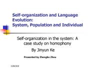 Self-organization and Language Evolution: System, Population and Individual
