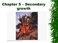 Chapter 5  PowerPoint PPT Presentation